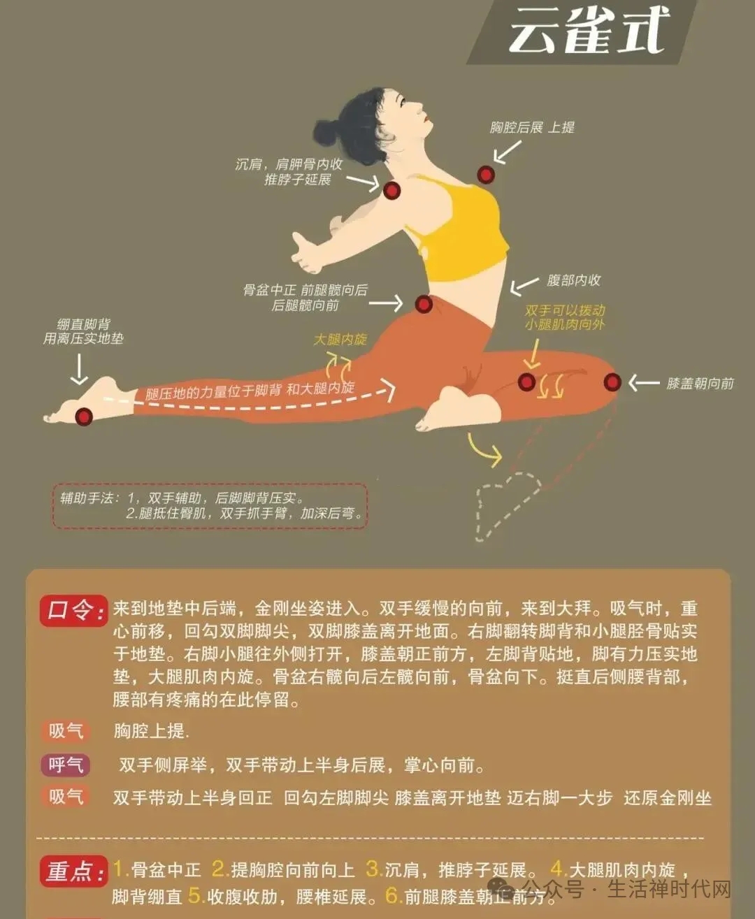 禅心养生 