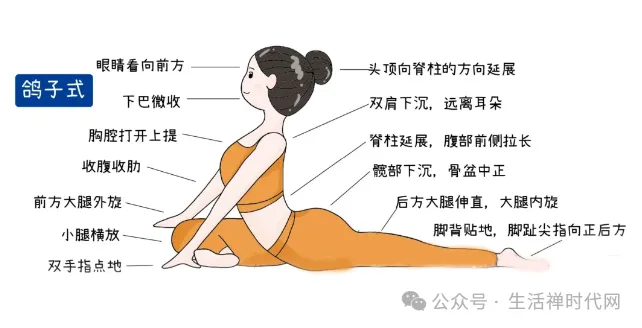 禅心养生 