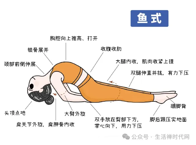 禅心养生 