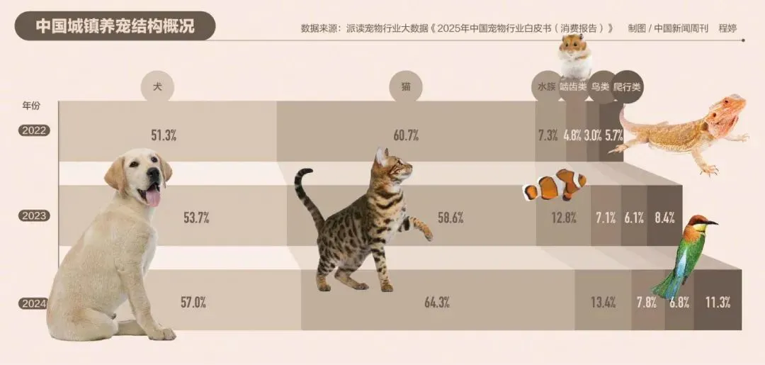 170多人报案：高价买的宠物，7天就死