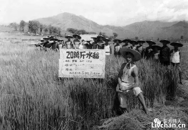 人民公社时的假大空祸首?为毛主席正名！