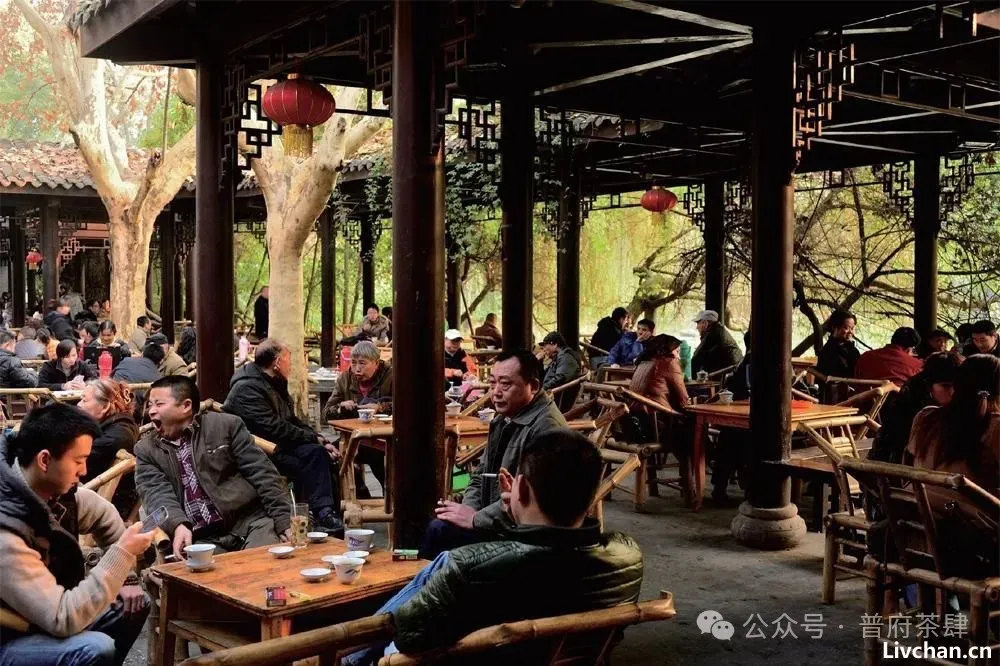 喝茶就喝茶，哪来那么多“妖魔鬼怪”？
