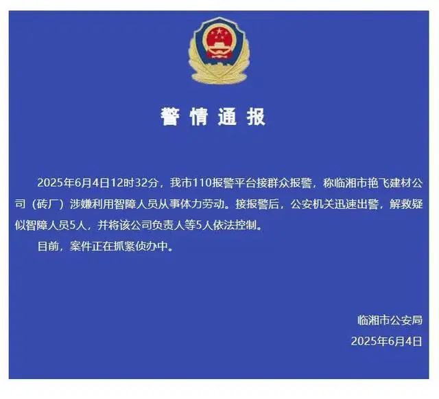 “没钱，给饭吃” 暗访湖南某砖厂涉嫌用智障人员从事重体力劳动
