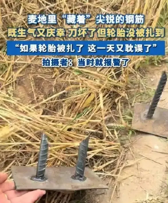 2025年6月网事实录 2025年6月网事实录