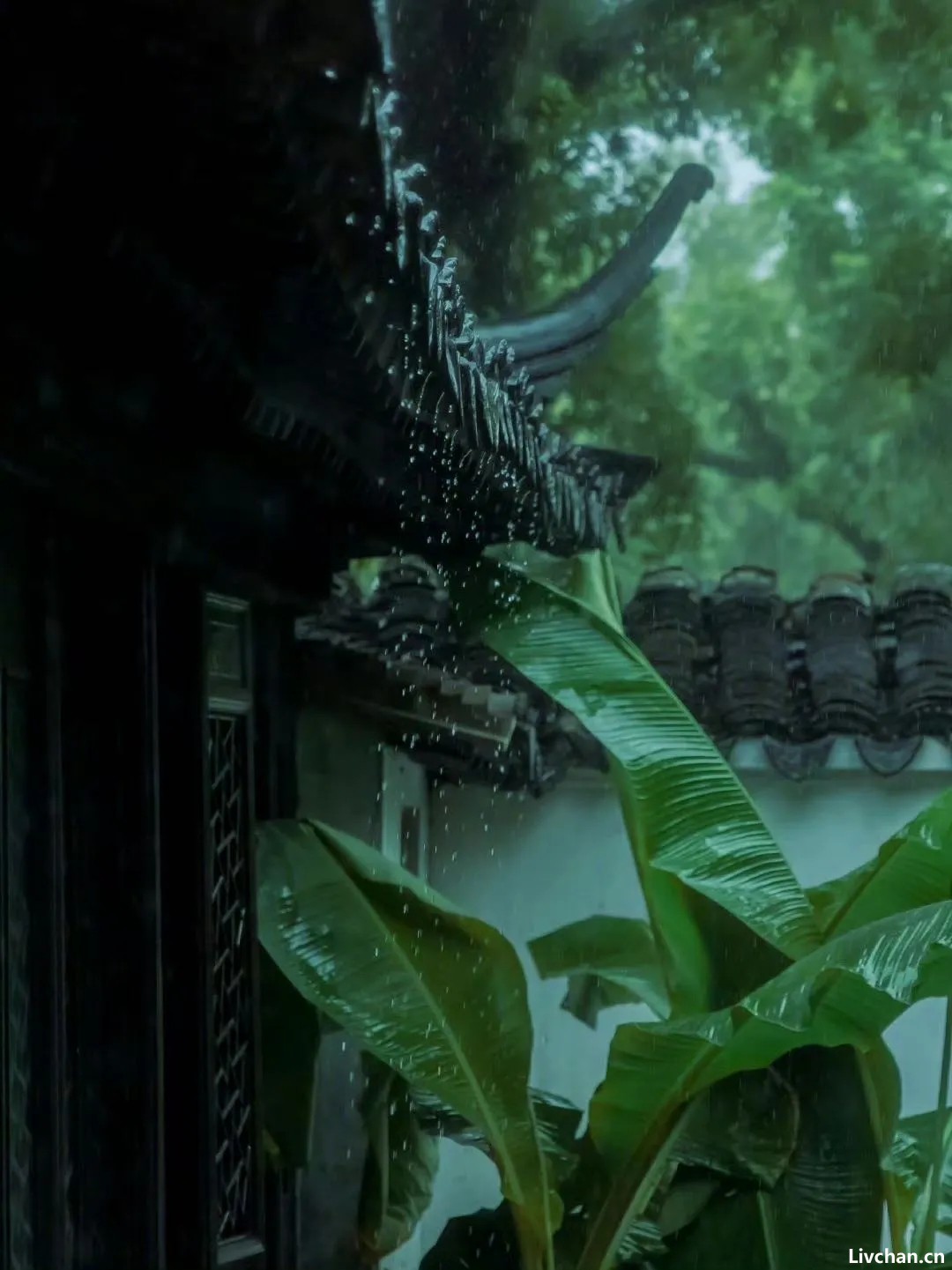 宋人十雅