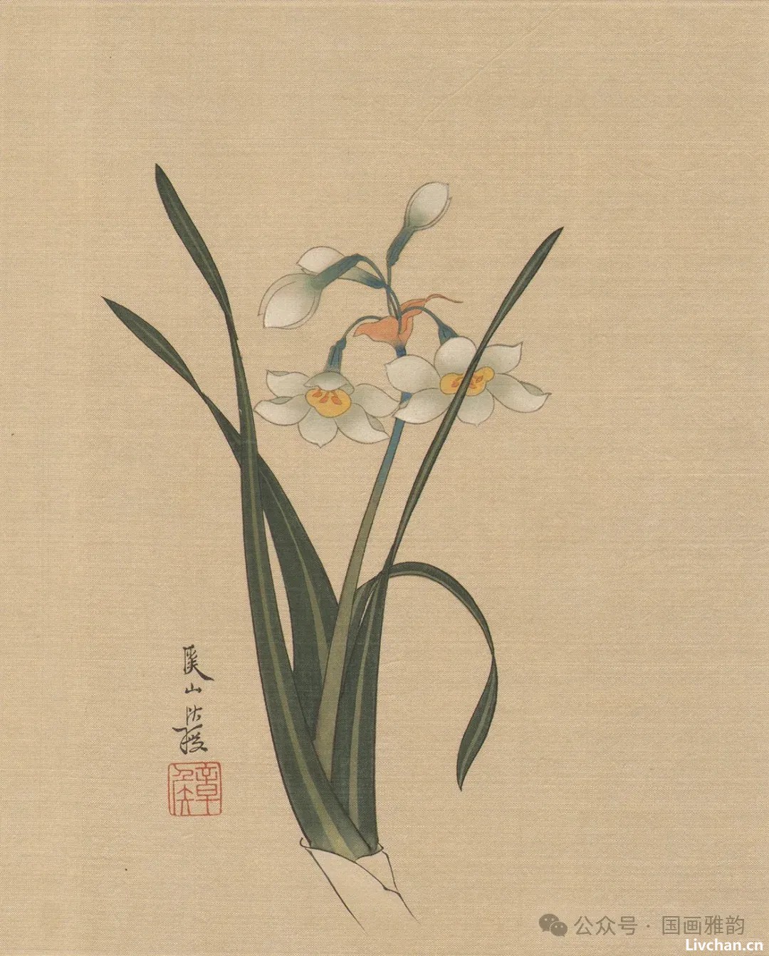 国画水仙花：凌波仙子玉玲珑，清雅极了！