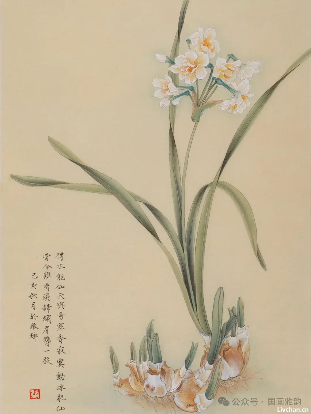 国画水仙花：凌波仙子玉玲珑，清雅极了！