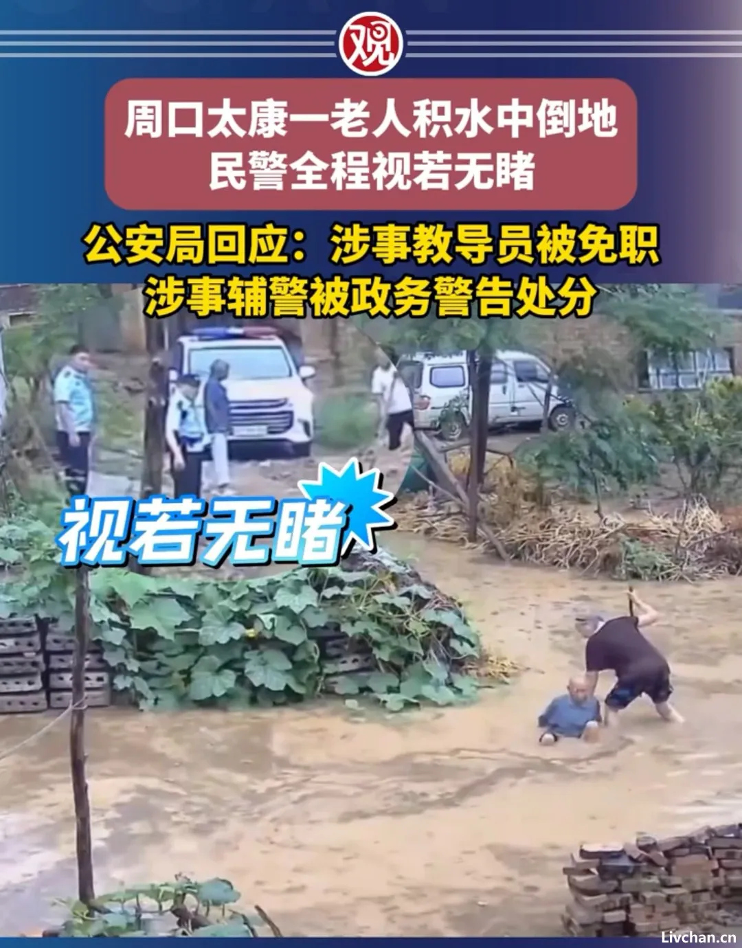 2025年6月网事实录 2025年6月网事实录
