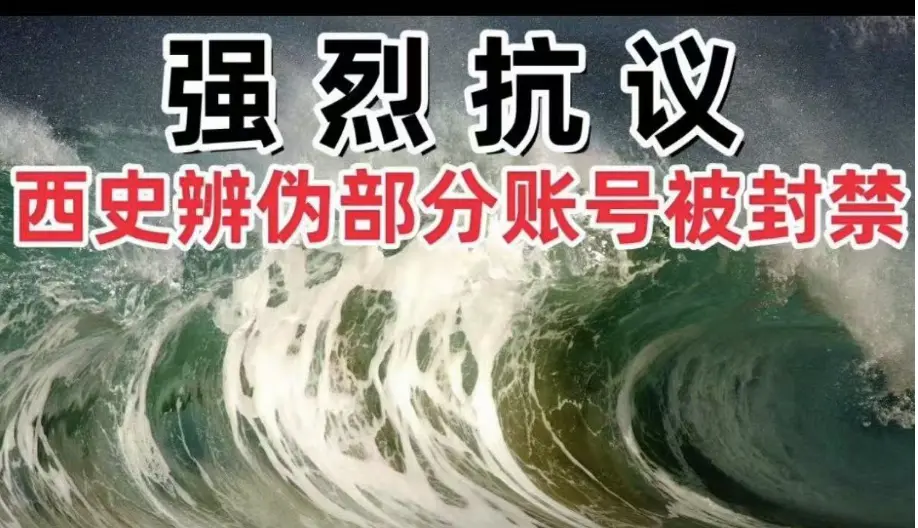 这两天，西方伪史论者连遭暴击