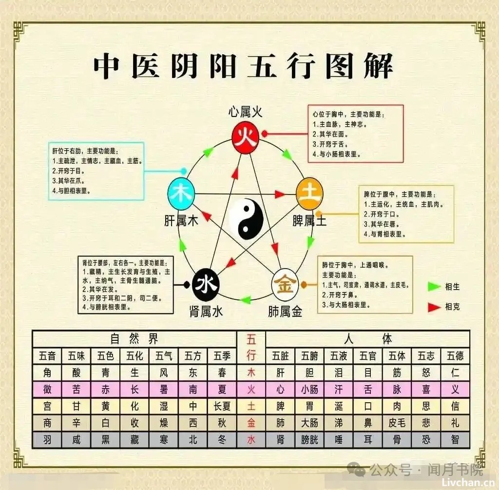音乐疗法的兴起：健康与养生的新篇章