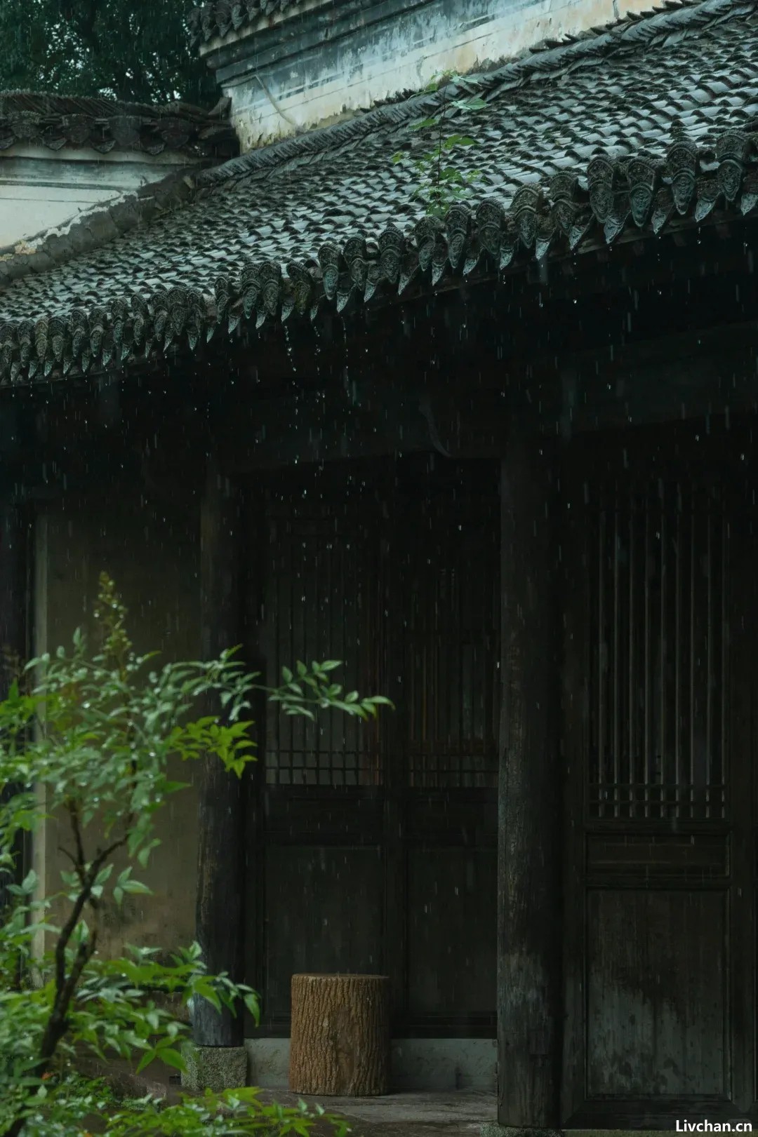 听雨，中国人最安静的浪漫