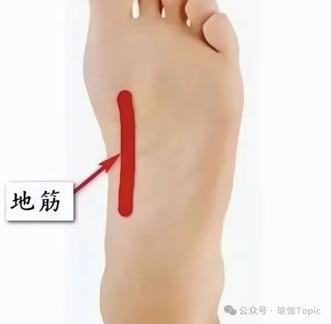 每天揉开后脑勺这条筋，梳理肝气，缓解眼部干涩，让双眼更明亮！