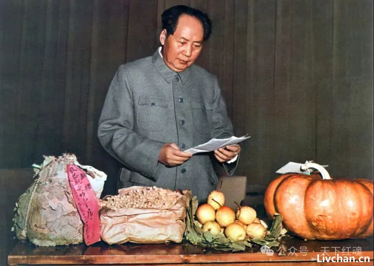被误读的十年：我们真的读懂了毛主席的晚年吗？