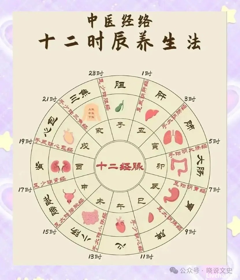 老祖宗传下的十二时辰养生法都是啥你知道吗？一篇教你看懂！