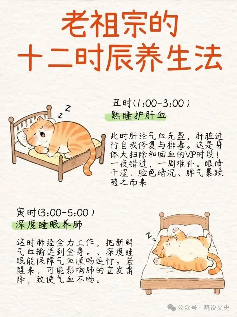 老祖宗传下的十二时辰养生法都是啥你知道吗？一篇教你看懂！