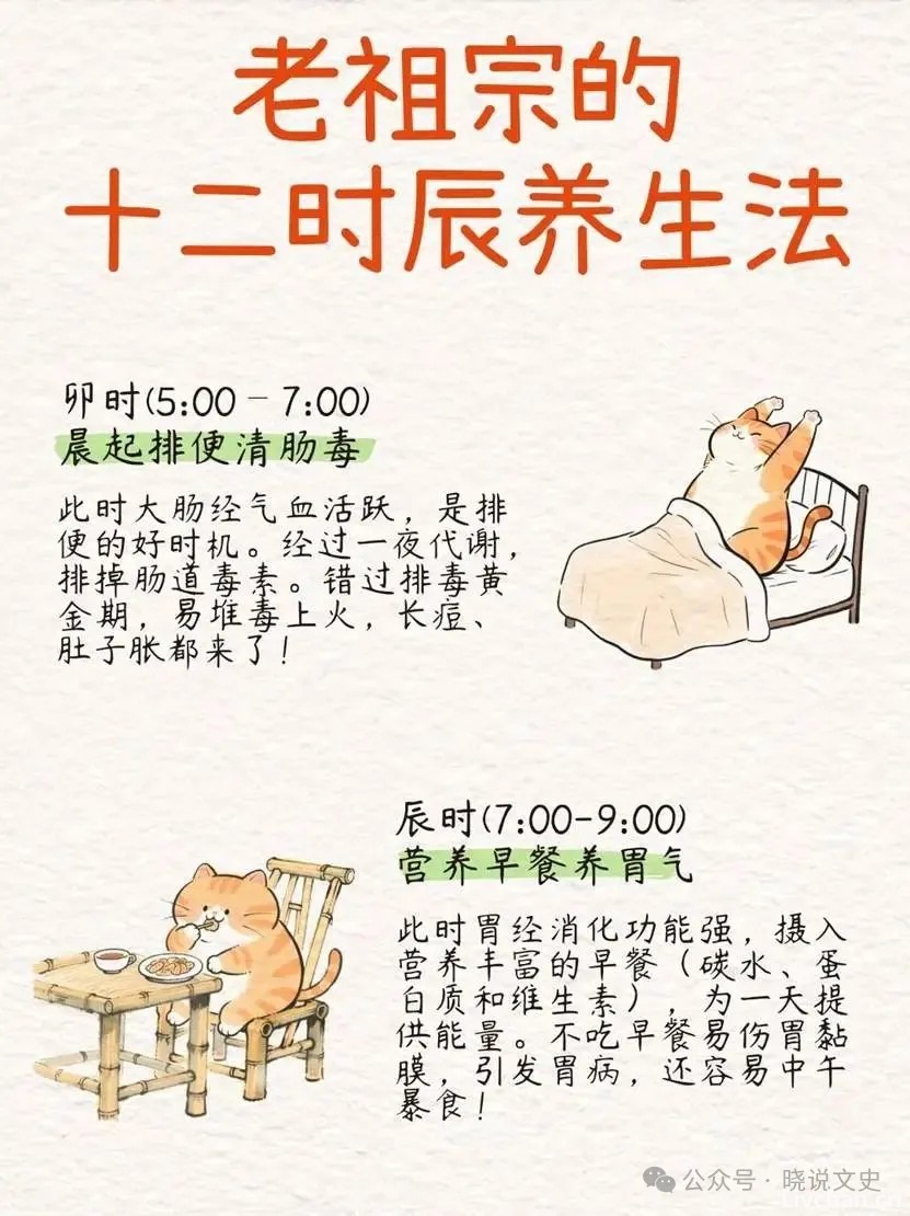 老祖宗传下的十二时辰养生法都是啥你知道吗？一篇教你看懂！
