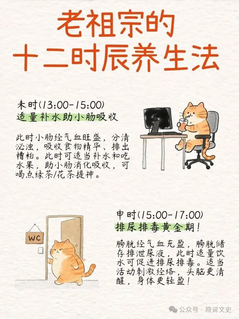 老祖宗传下的十二时辰养生法都是啥你知道吗？一篇教你看懂！
