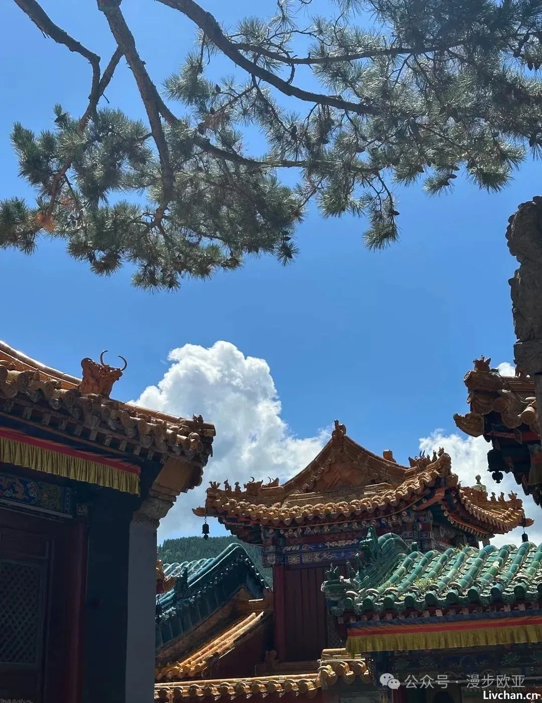 从少林寺释永信到英格兰教堂神父：信仰，是怎样坍塌的？