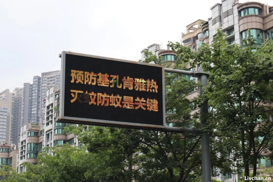 实探基孔肯雅热三级响应镇：医疗资源充足，基层防疫任务重