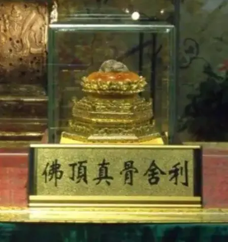 舍利子的制作方法，专利公布号CN101011211A