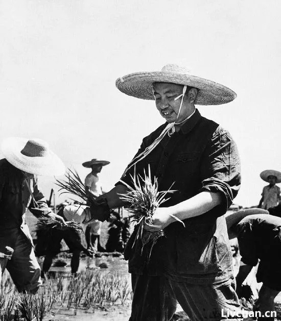 由远及近到渐行渐远，华国锋与叶剑英的政治交往