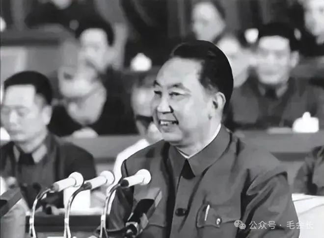 由远及近到渐行渐远，华国锋与叶剑英的政治交往