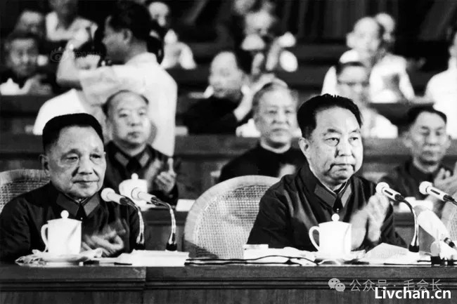 由远及近到渐行渐远，华国锋与叶剑英的政治交往