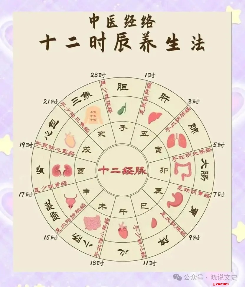 老祖宗传下的十二时辰养生法都是啥你知道吗？一篇教你看懂！