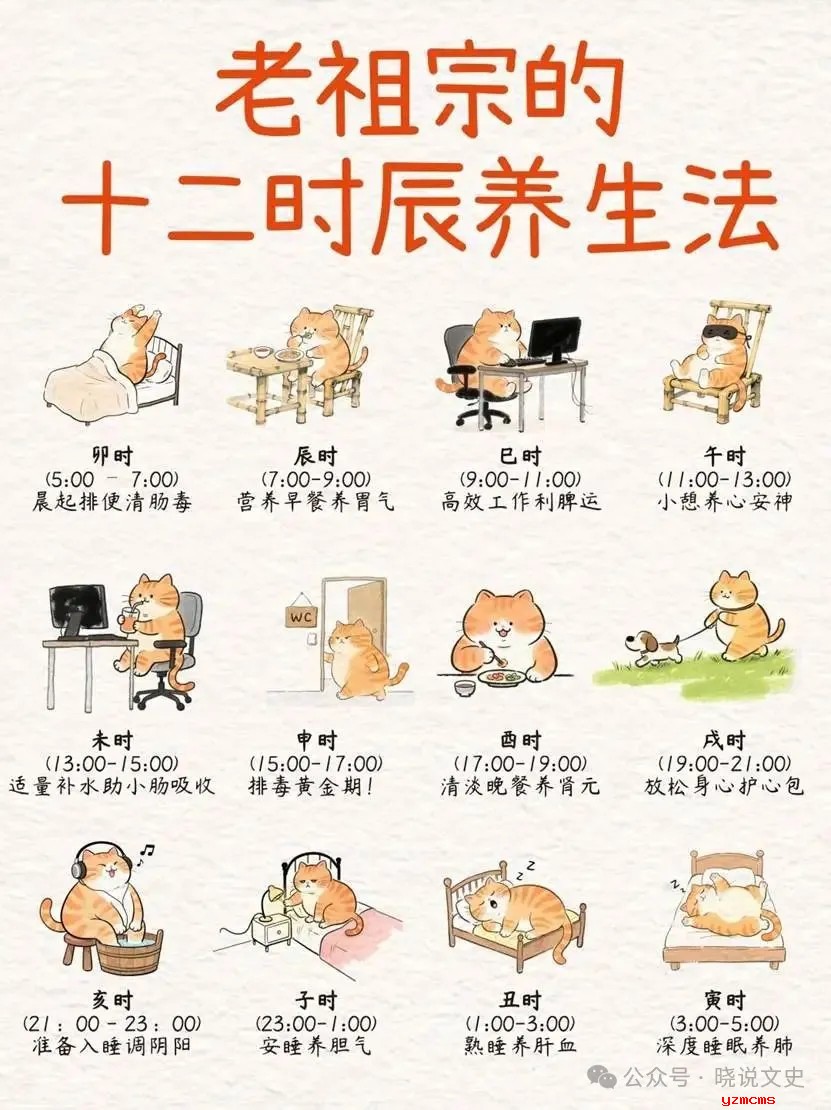 老祖宗传下的十二时辰养生法都是啥你知道吗？一篇教你看懂！