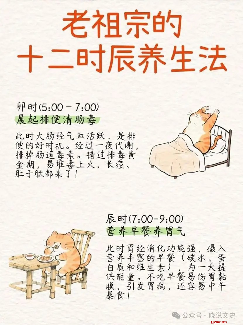 老祖宗传下的十二时辰养生法都是啥你知道吗？一篇教你看懂！