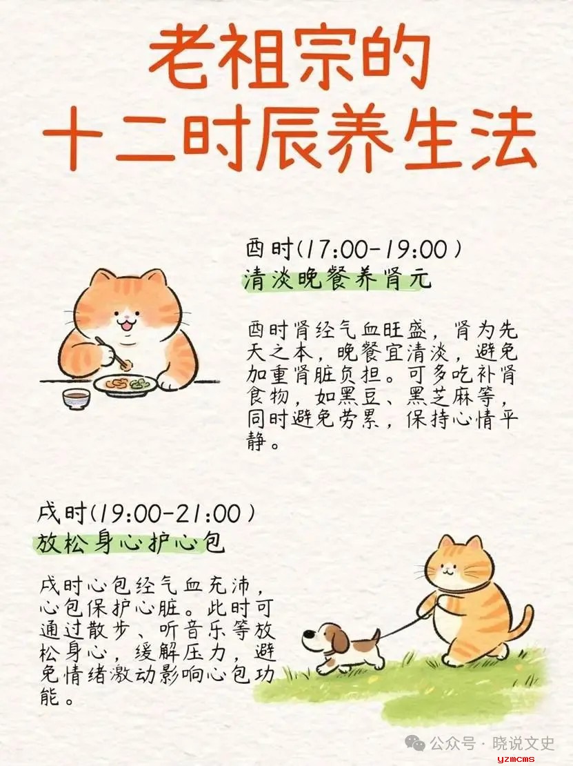 老祖宗传下的十二时辰养生法都是啥你知道吗？一篇教你看懂！