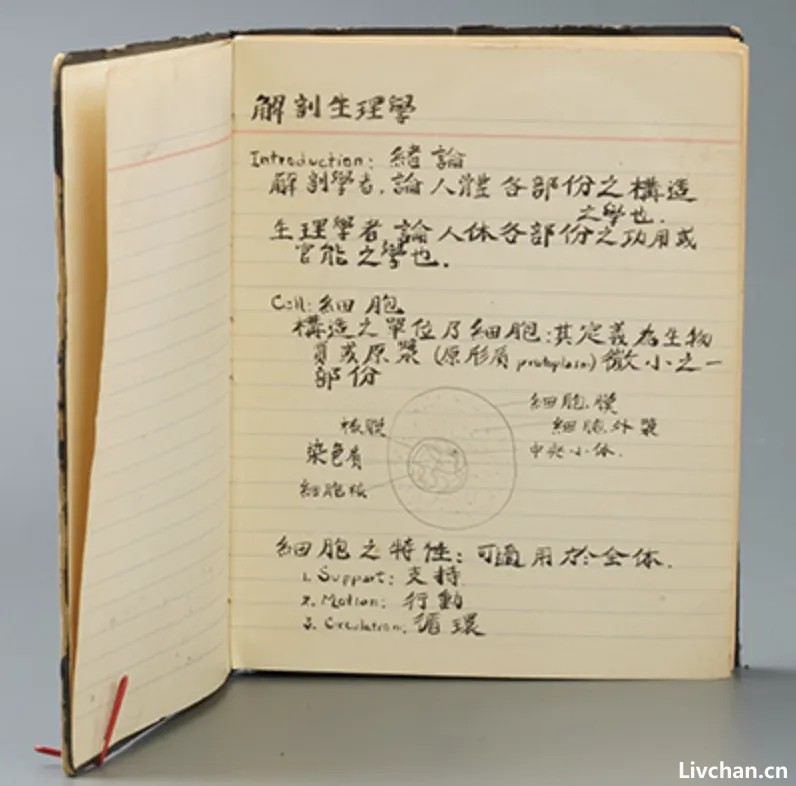 向世界揭露南京大屠杀：88年前，有24名外国人死守南京城