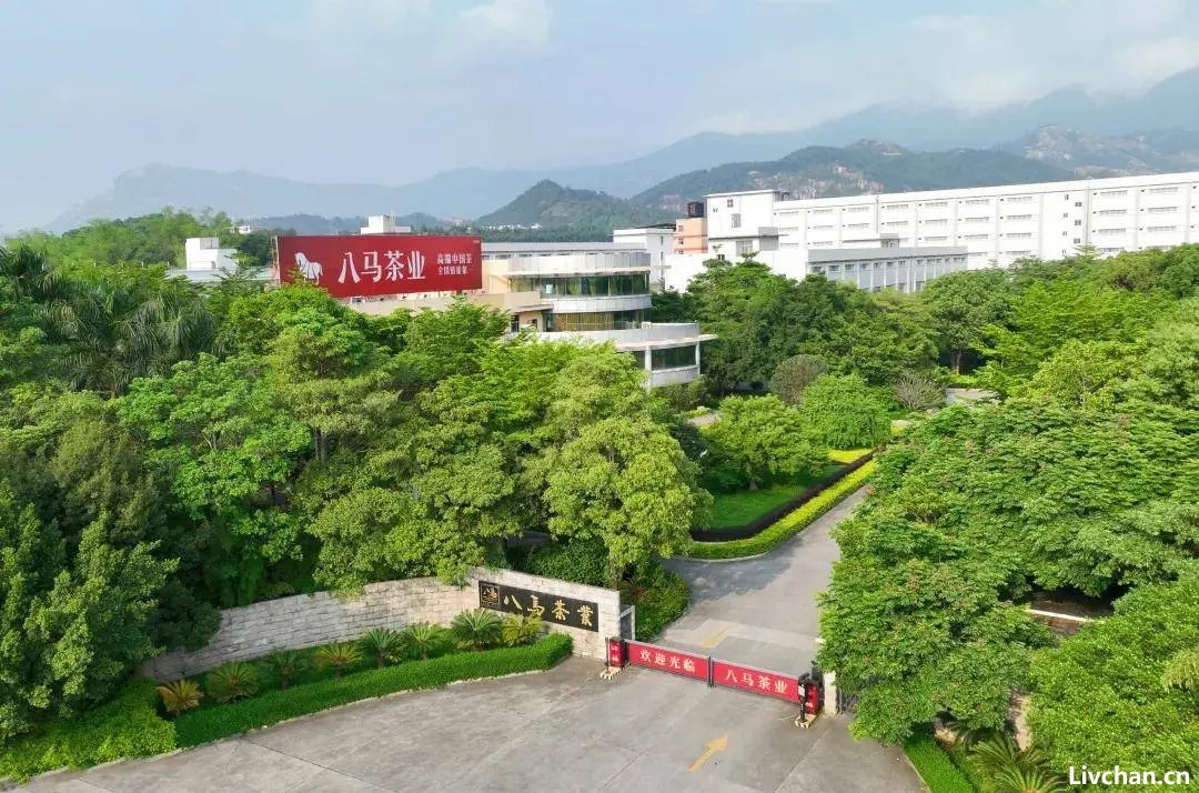 亲家覆盖半个福建豪门圈，八马茶业为何三次上市被拒