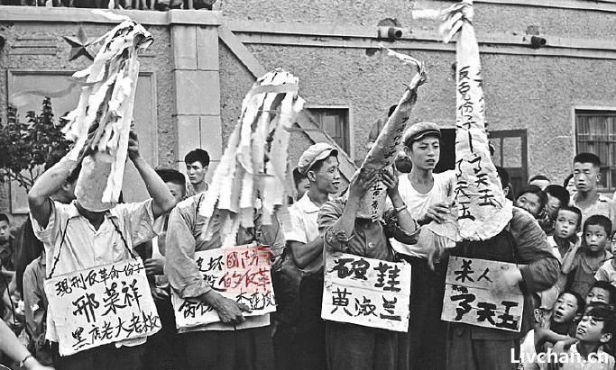 “五·一六红卫兵团”概要