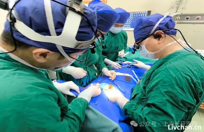 全球罕见！医生救回“身首离断”患者
