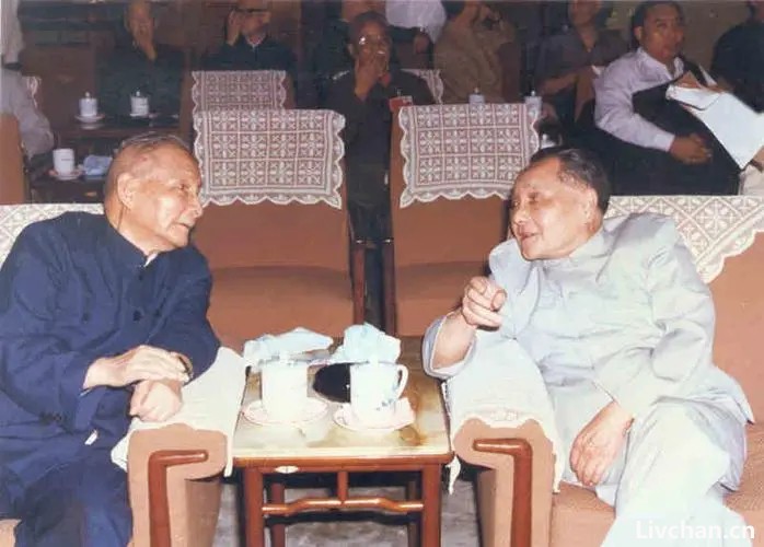 后文革时代的整党