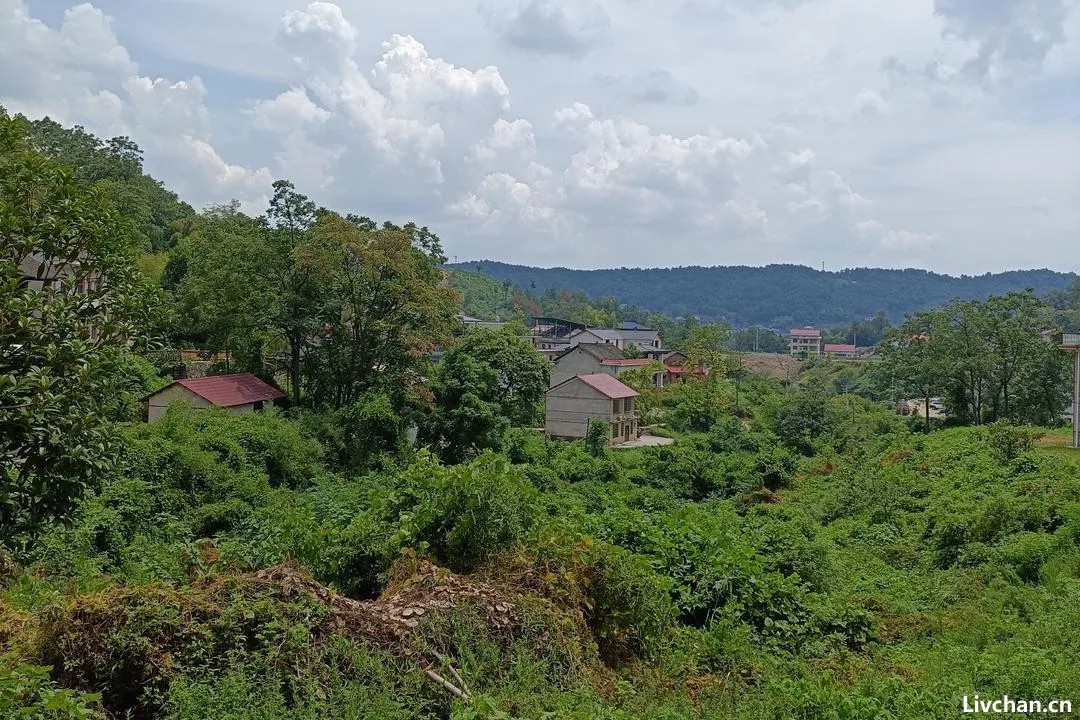 一个正厅一个副处，两名“蔡光辉”落马竟是亲兄弟，父亲称长子曾改名