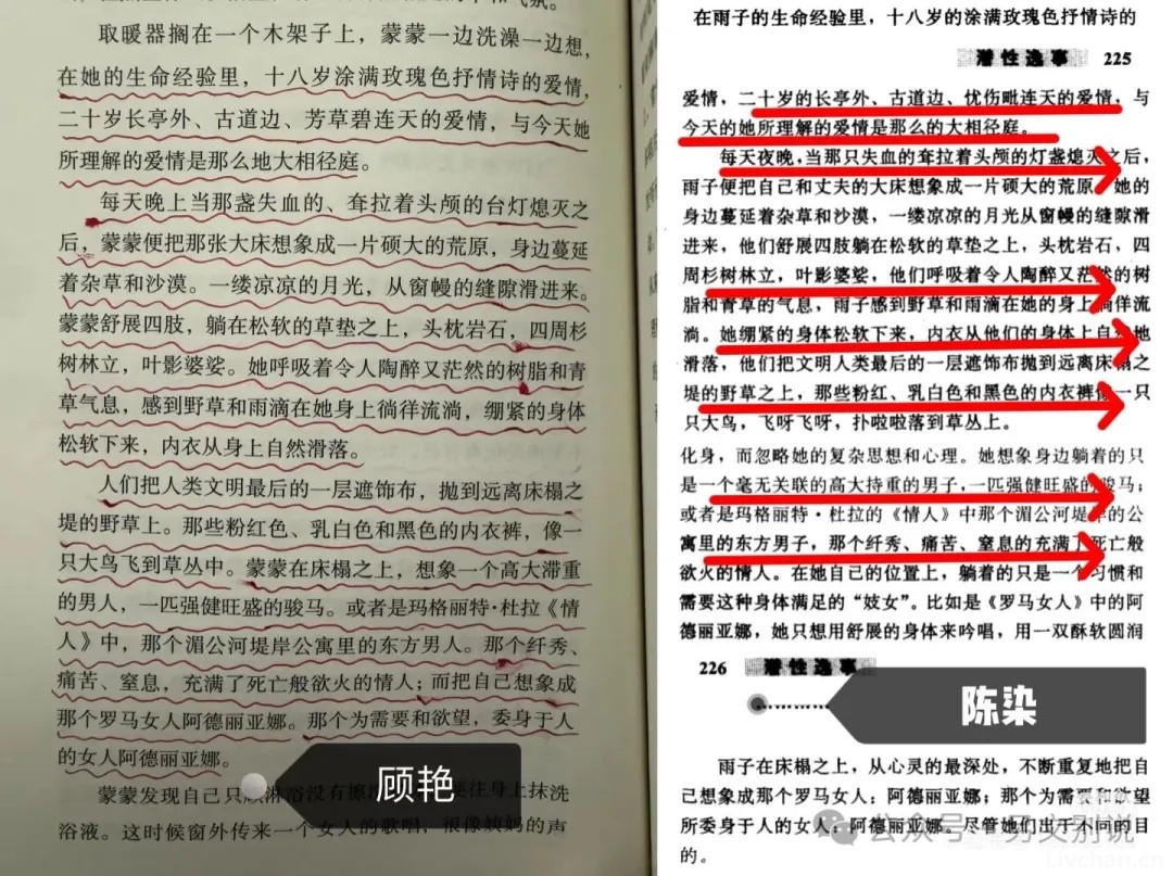 女作家顾艳大量抄袭多个著名作家作品