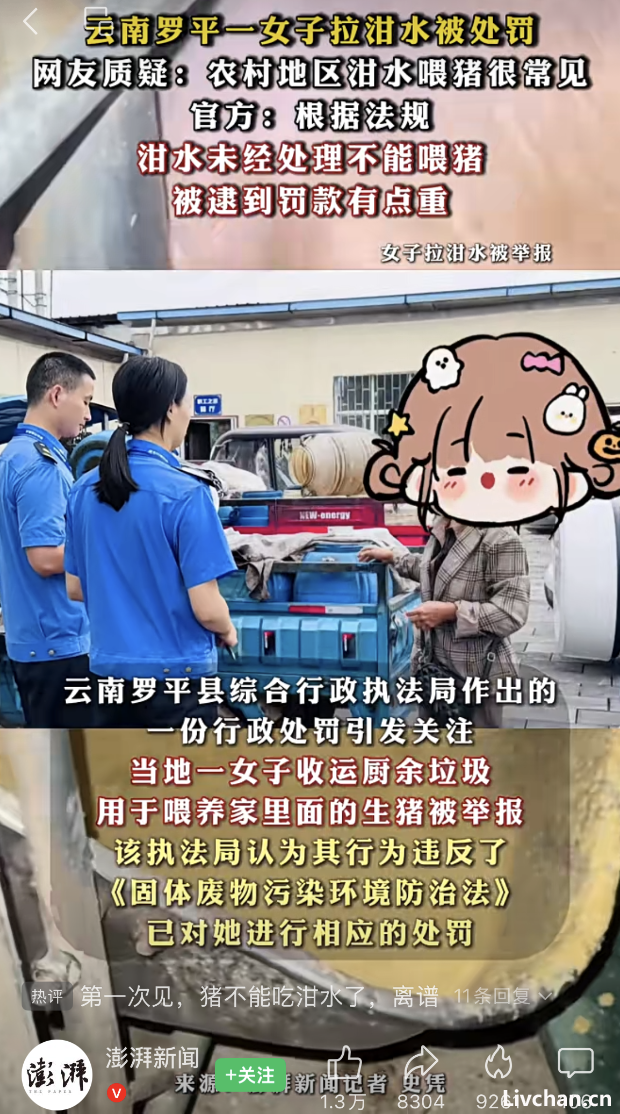 辩证视域下经济模式与治理逻辑的再审视——兼论完全市场经济与绝对法治的局限性