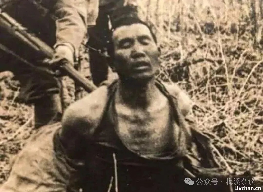 解读倭奴——侵华日军暴行背后的深层成因解析