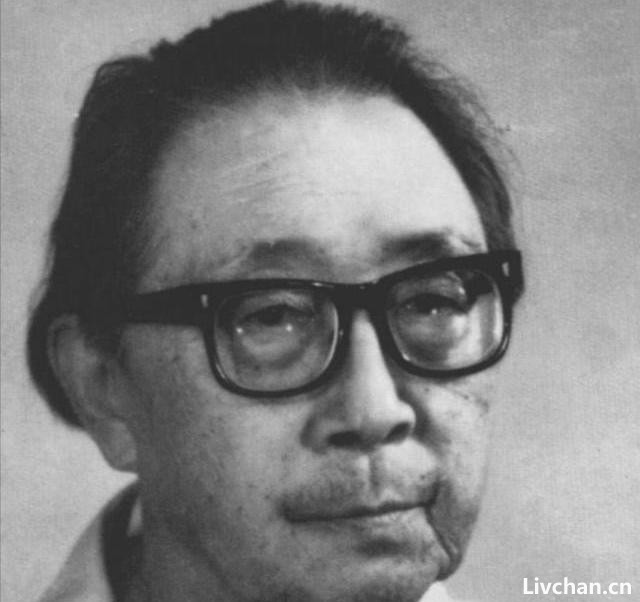 “豪门逆子”张梦实的特工人生