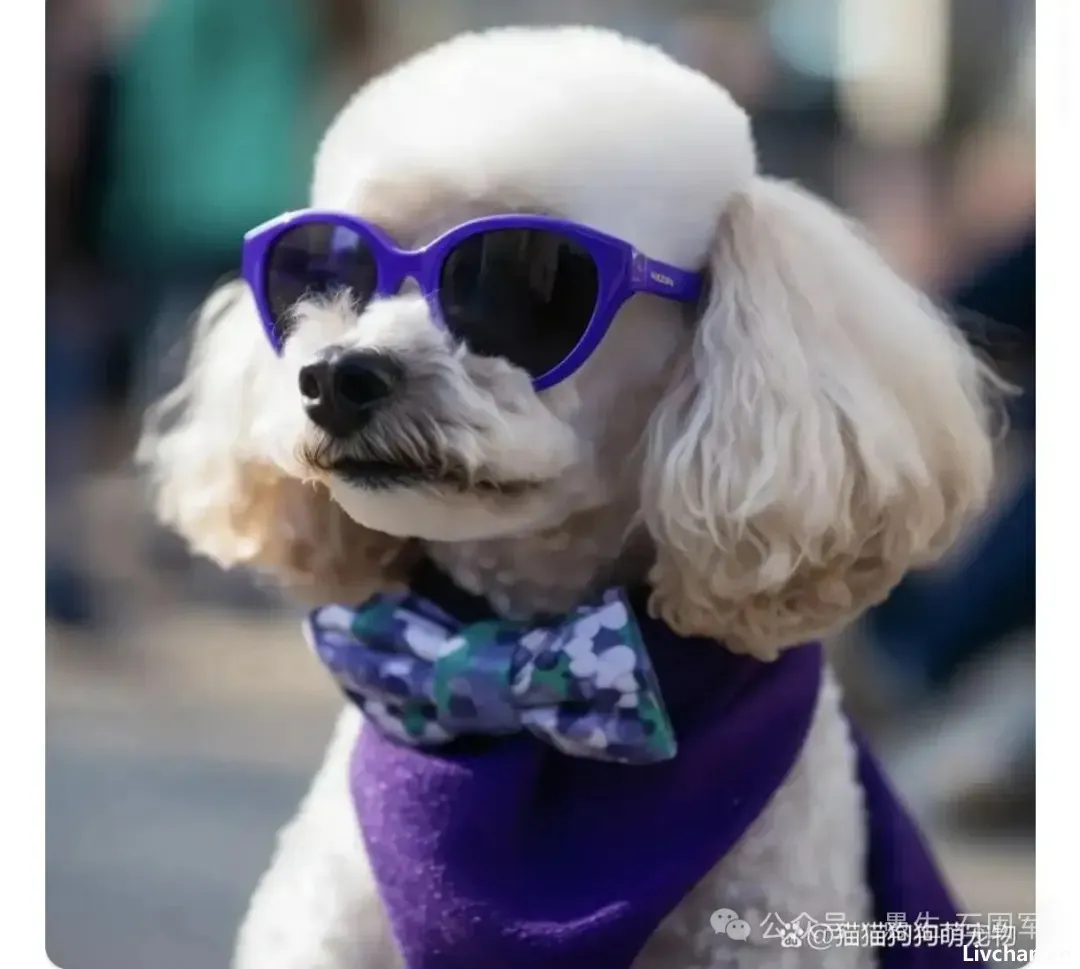 西方文化入侵毁我中华表现之一 西方文化入侵毁我中华表现之一