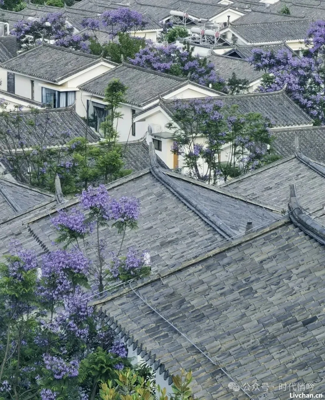 血泪教训:普通人请远离所谓的贵人 血泪教训:普通人请远离所谓的贵人