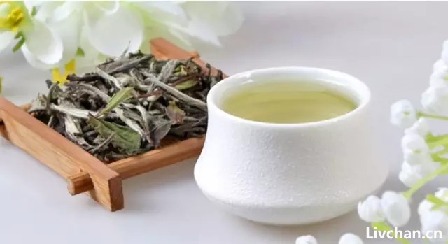 泡茶不懂水温、投茶量, 再好的茶也泡不出好味道!
