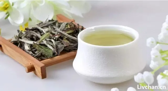 泡茶不懂水温、投茶量, 再好的茶也泡不出好味道!