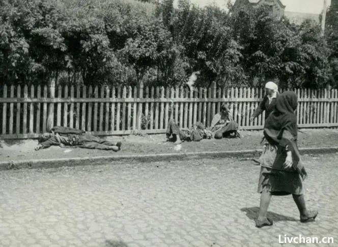 苏联1932—1933年“大饥荒”始末