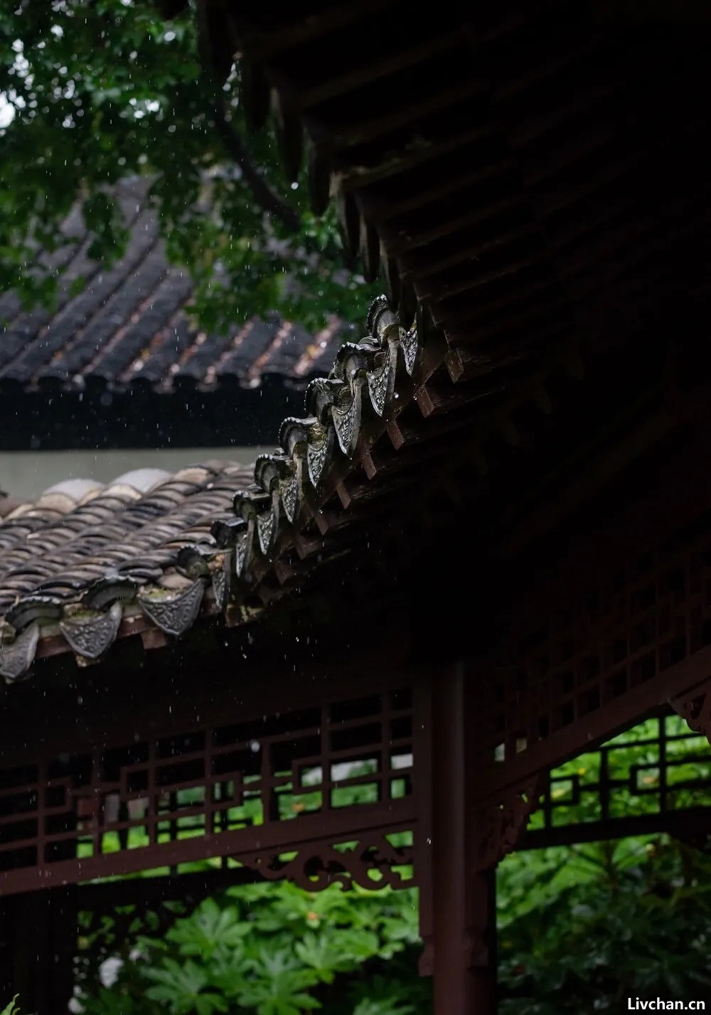 茶道：和舒服的人在一起喝茶，就是养生！