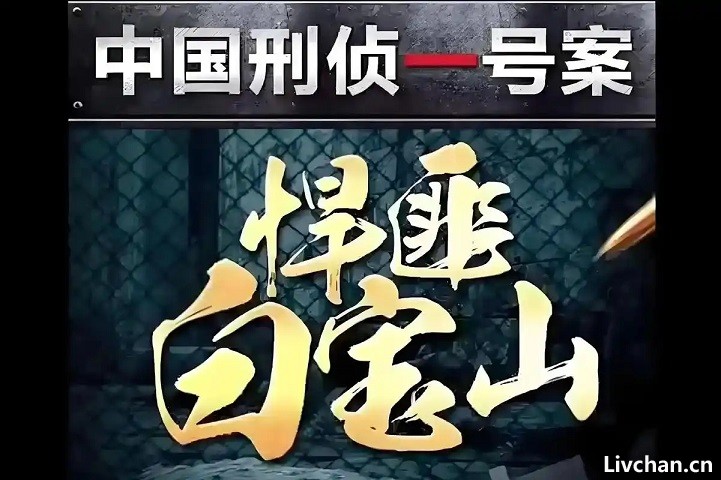 白宝山案纪实