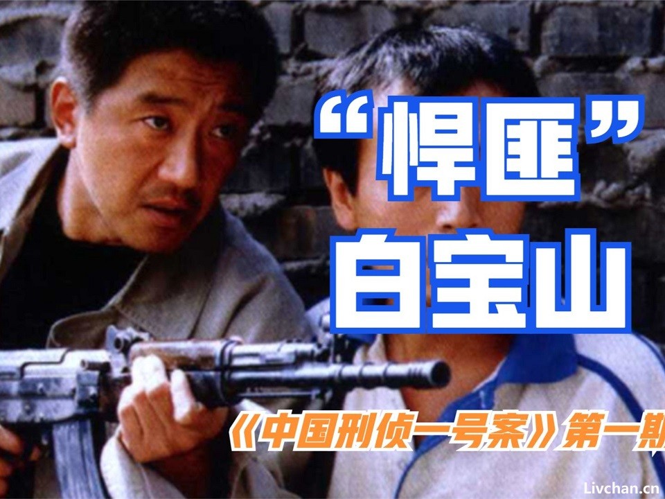 白宝山案纪实