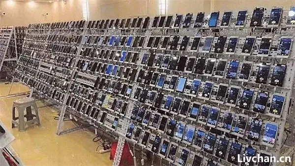比特币下的诈骗帝国：陈志与太子集团